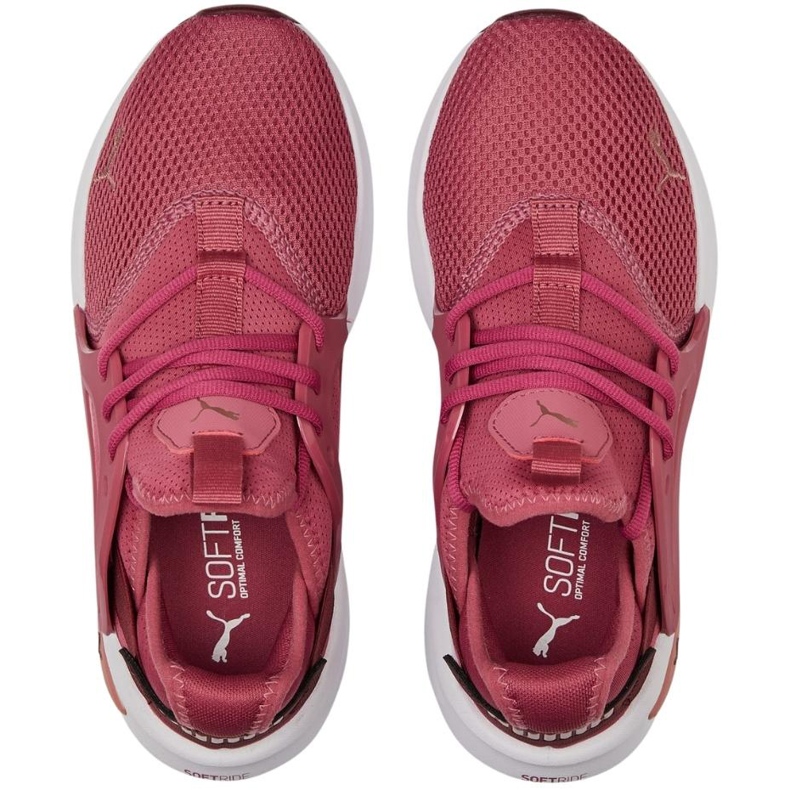 Scarpe da donna Puma Softride Enzo Evo rosa sporco 377048 05 multicolore 2