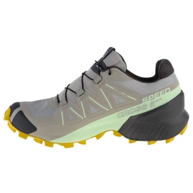 Scarpe da corsa Salomon Speedcross 5 Gtx W 416128 grigio 1