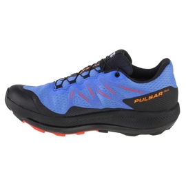 Scarpe da corsa Salomon Pulsar Trail Gtx M 416080 blu 1