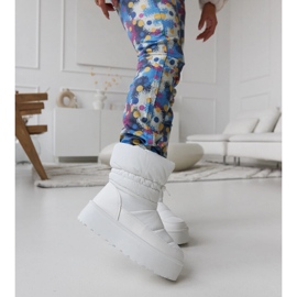 Doposci bianchi isolati sulla piattaforma Polk bianco 2