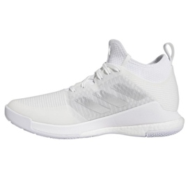 Scarpe da pallavolo Adidas Crazyflight Mid W HQ3491 bianca 1