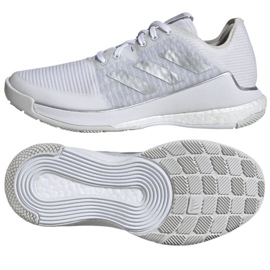 Scarpe da pallavolo Adidas Crazyflight W IG3970 bianca 1