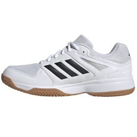 Scarpe da pallavolo Adidas Speedcourt M IE8032 bianca 1