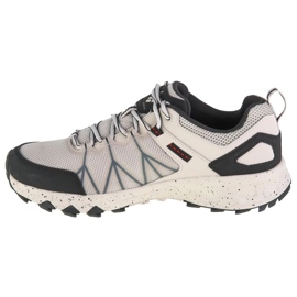 Scarpe Columbia Peakfreak Ii Outdry M 2005101020 grigio 1