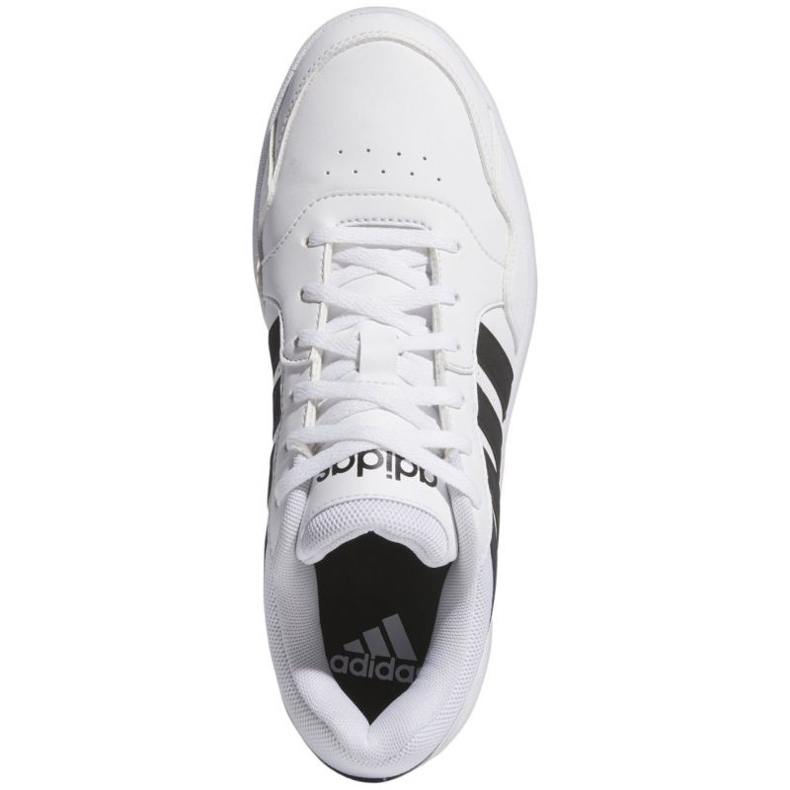 Scarpe Adidas Hoops 3.0 Bold IG6115 bianca 1