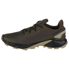 Scarpe da corsa Salomon Alphacross 4 Gtx M 471169 verde 1