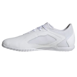 Adidas Predator Accuracy.4 Nelle scarpe FZ6117 bianco 1