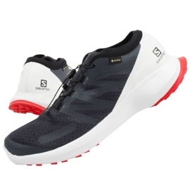 Scarpe Salomon Sense Flow 409672 Gtx grigio 1