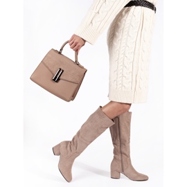 Stivali da donna con tacco in camoscio beige 2