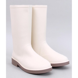 Stivali opachi beige femminile 1