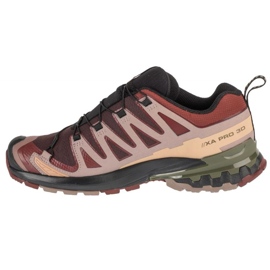Salomon XA Pro 3D V9 GTX L47583500 Scarpe da corsa marrone 1