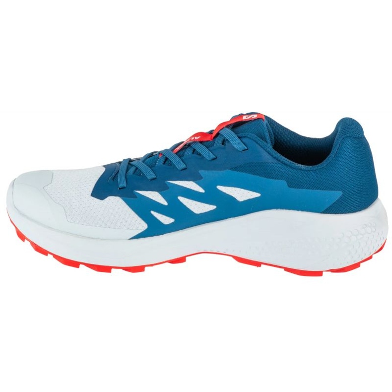 Salomon Alphaglide Ballad L47724300 Scarpe da corsa grigio 1