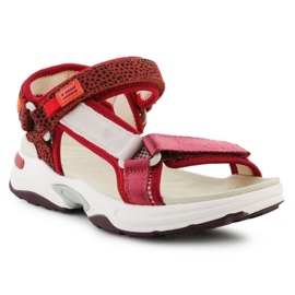 Sandali D.Franklin Sneaker Sandalo Strips DFSH406003-BURG rosso 1