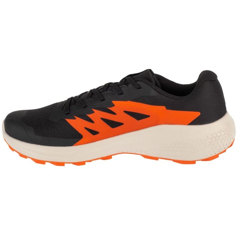 Salomon Alphaglide L47801100 Scarpe da corsa nero 1