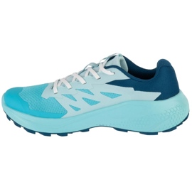 Salomon Alphaglide L47801600 scarpe da corsa blu 1