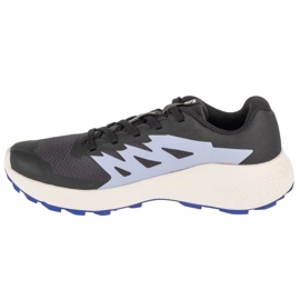 Salomon Alphaglide L47801800 Scarpe da corsa nero 1