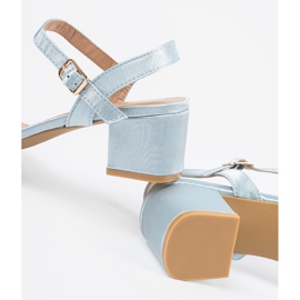 Sandali blu su un palo 2