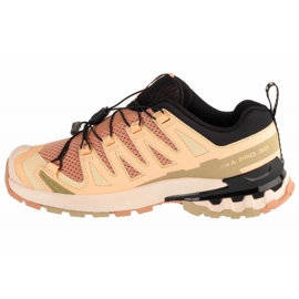 Scarpe da corsa Salomon XA Pro 3D V9 in L47589100 marrone 1