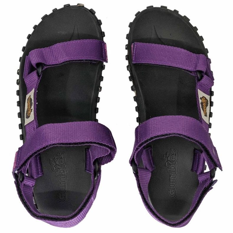 Sandali di scrambler Gumbies in Gu-Sascr031 viola 1