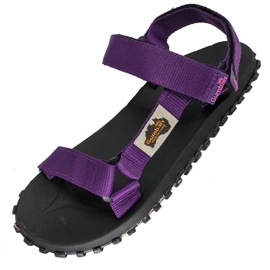 Sandali di scrambler Gumbies in Gu-Sascr031 viola 2
