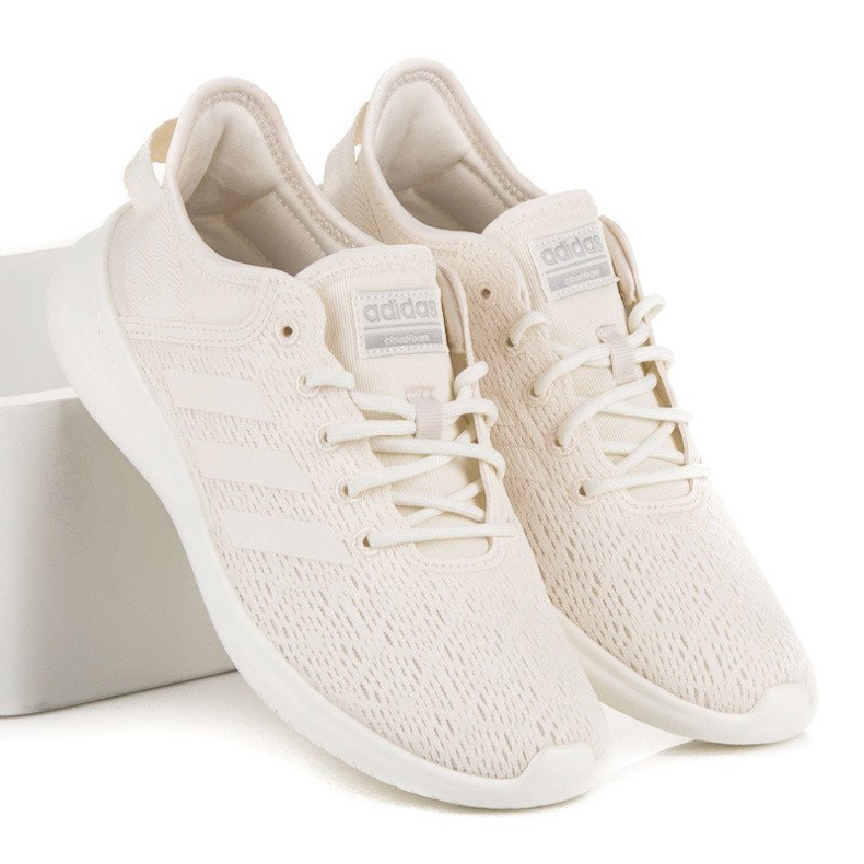 Adidas cf qtflex in DB1812 marrone 1