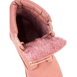 Intrappolatori di polvere rosa 1