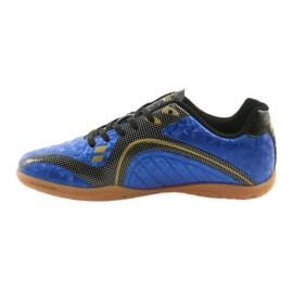 Palazzetto dello sport reale dell'American Club blu blu 2