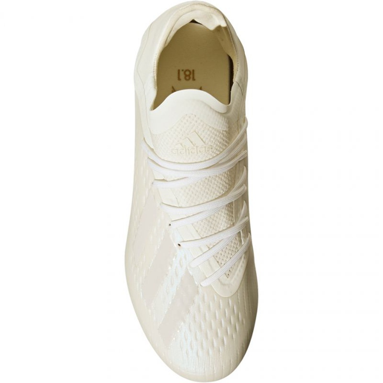 Scarpe da calcio Adidas X 18.1 FG Jr DB2430 2