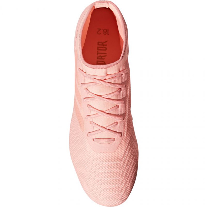 Scarpe da calcio Adidas Predator 18.2 FG M DB1998 rosa 2