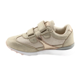 Ragazze sportive American Club ES19 oro d'oro 2