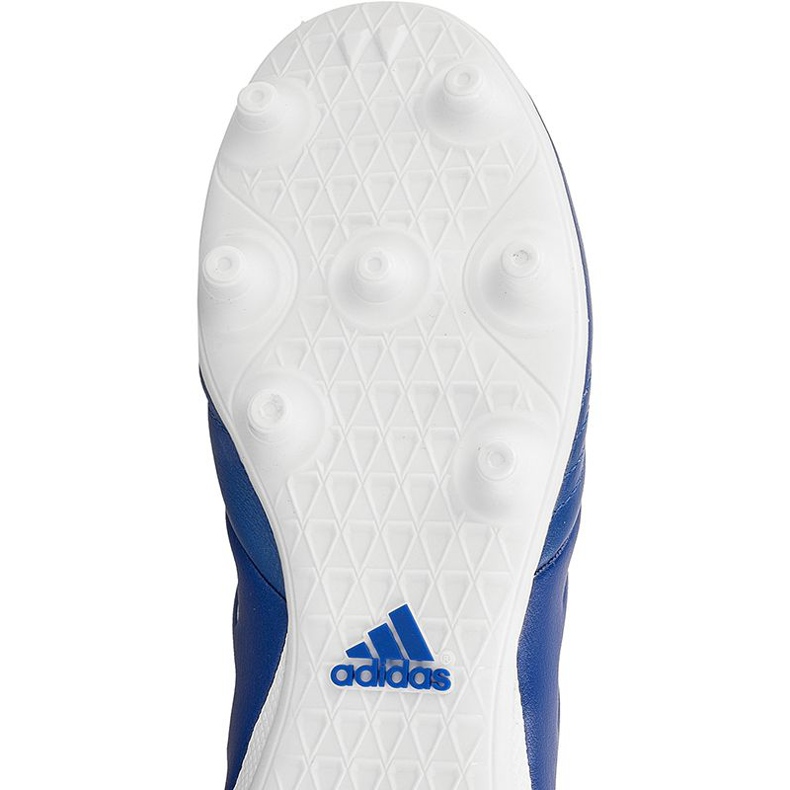 Scarpe da calcio Adidas Copa 17.3 Fg M BA9717 blu blu 1