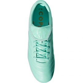 Scarpe da calcio Adidas Copa 18.3 Fg M DB2462 blu blu 1
