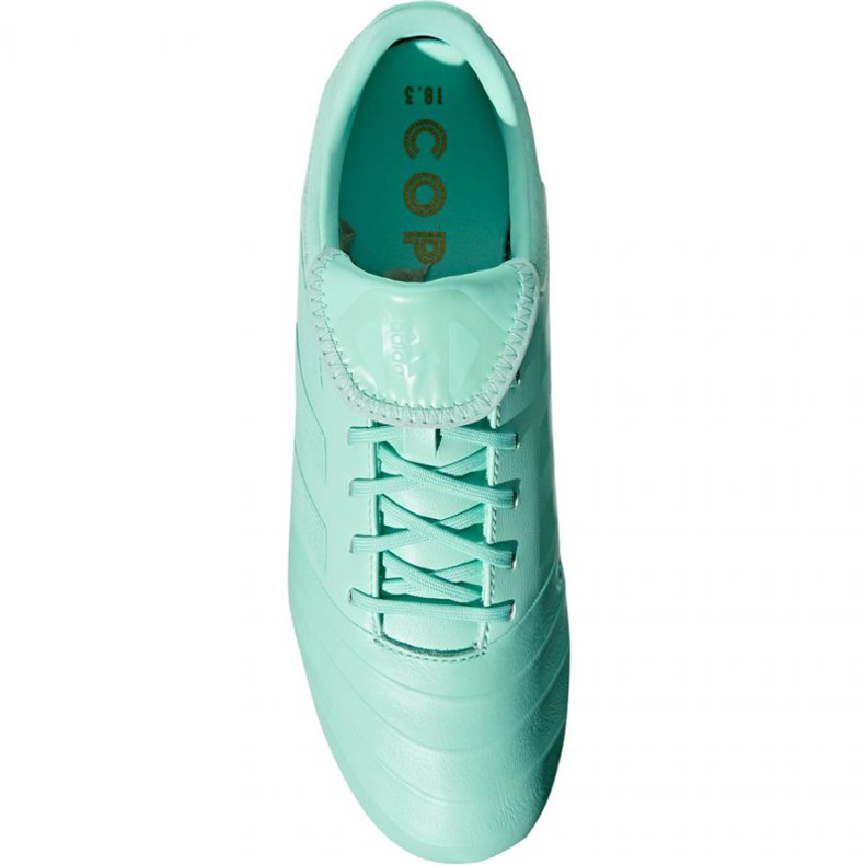 Scarpe da calcio Adidas Copa 18.3 Fg M DB2462 blu blu 1