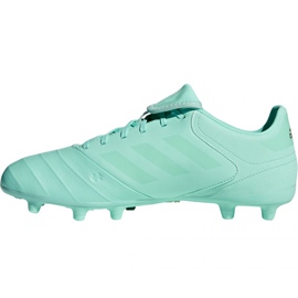 Scarpe da calcio Adidas Copa 18.3 Fg M DB2462 blu blu 2