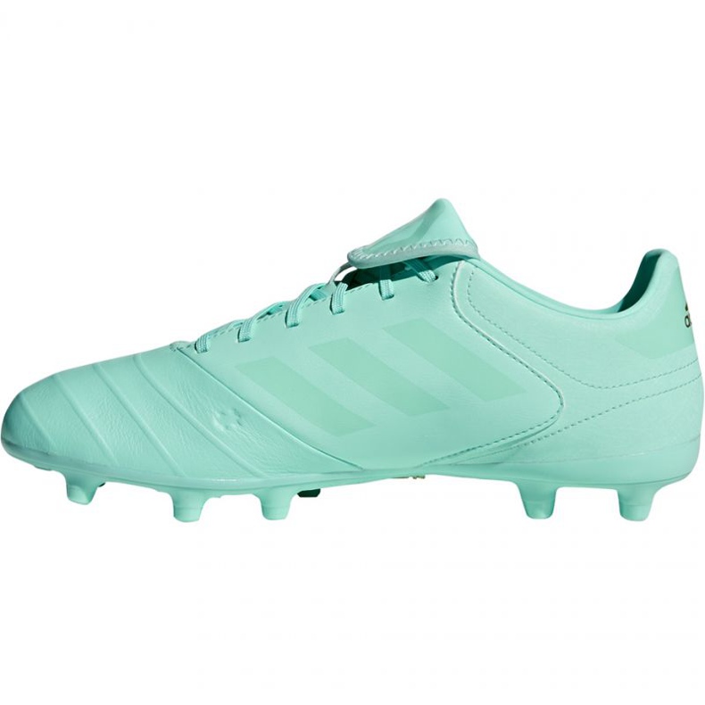 Scarpe da calcio Adidas Copa 18.3 Fg M DB2462 blu blu 2