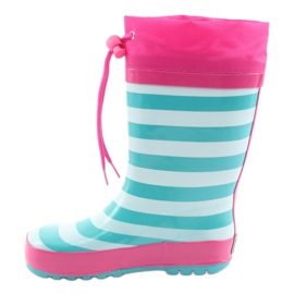 American Club Wellies americani Gattino dopo la mostra rosa verde 2