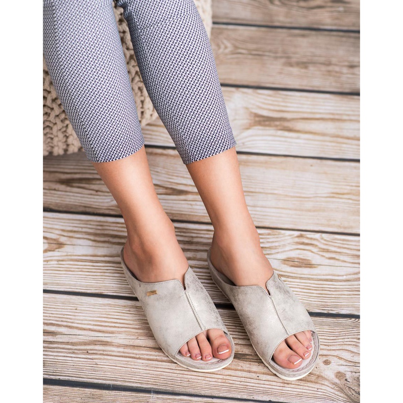 Goodin Pantofole d'argento grigio 1