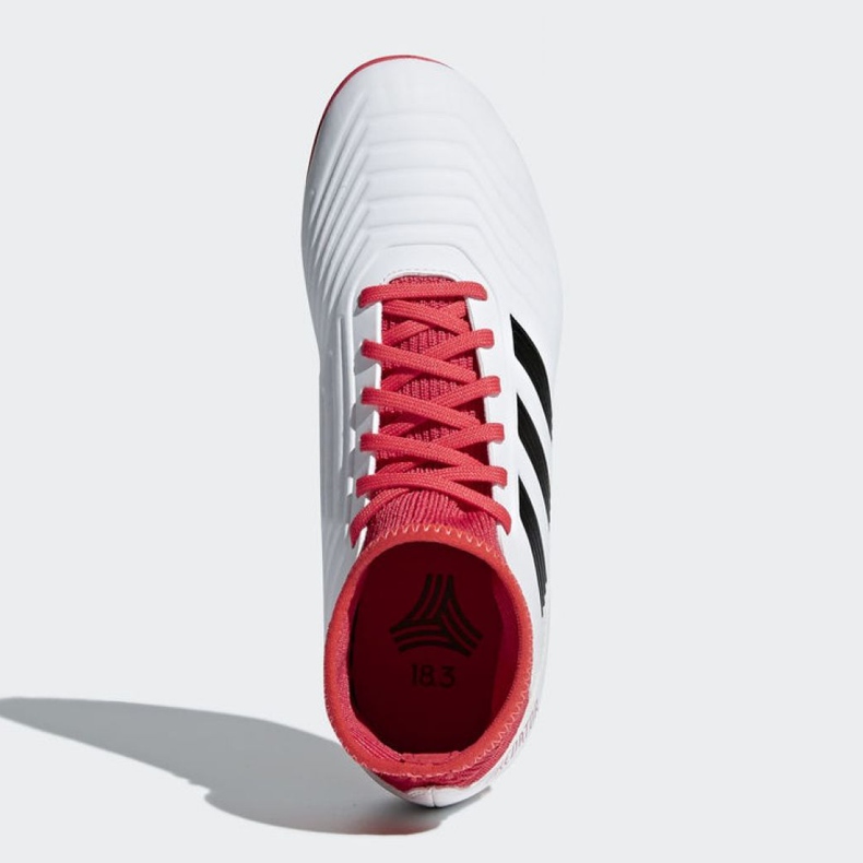 Scarpe da calcio Adidas Predator Tango 18.3 Tf Jr CP9040 multicolore bianca 2