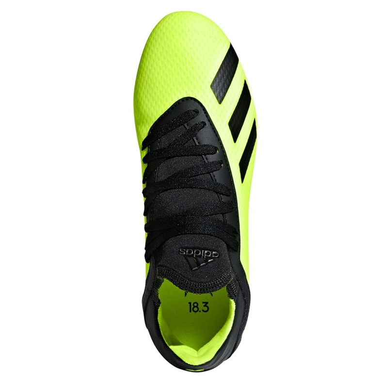 Scarpe da calcio Adidas X 18.3 Fg Jr DB2418 multicolore verde 2