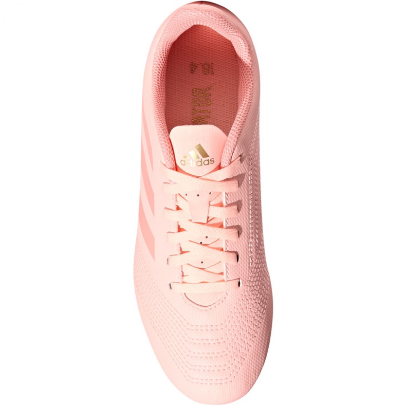 Scarpe da calcio Adidas Predator 18.4 FxG Jr DB2322 multicolore rosa 2
