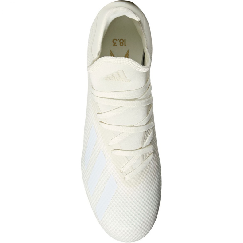 Scarpe da calcio Adidas X 18.3 Fg M DB2184 multicolore bianco 2
