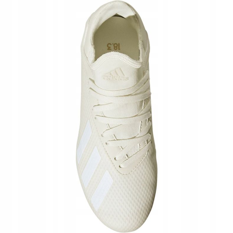Scarpe da calcio Adidas X 18.3 Fg Jr DB2417 multicolore bianco 2