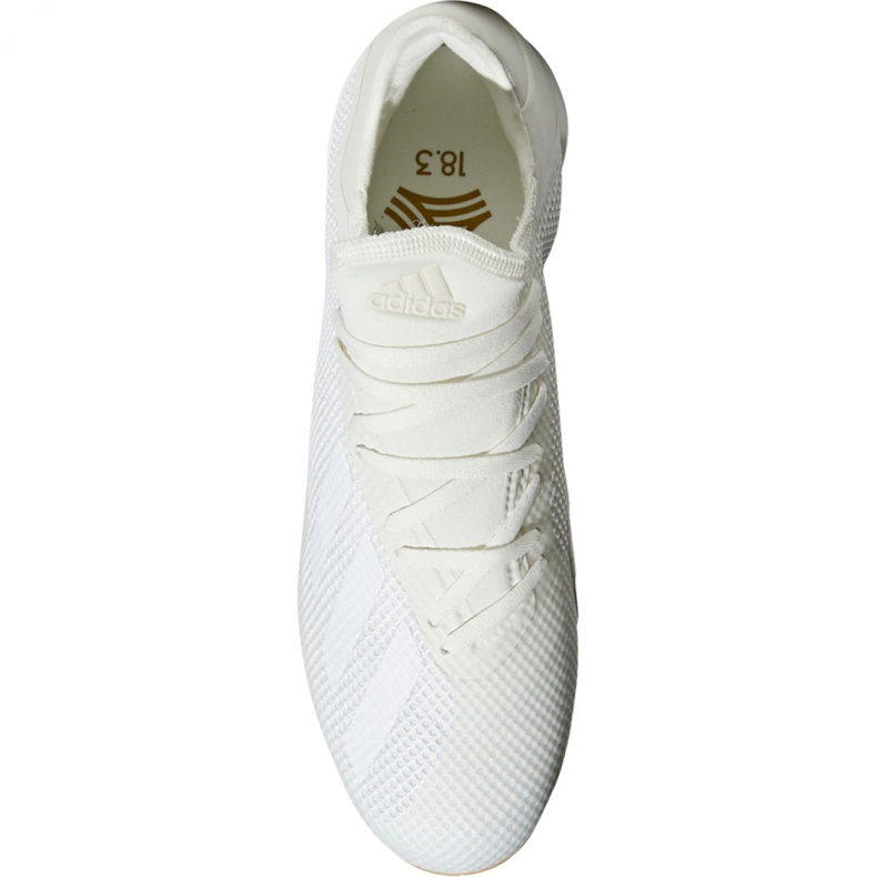 Scarpe indoor adidas X Tango 18.3 In M DB2439 bianca beige 1