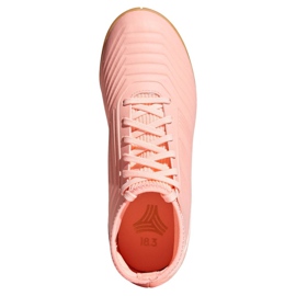 Scarpe indoor adidas Predator Tango 18.3 In Jr DB2325 rosa rosa 2