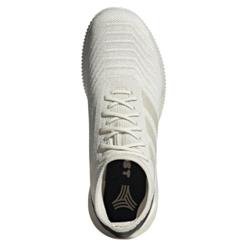 Scarpe indoor adidas Predator 19.1 Tr M D98056 multicolore bianca 2