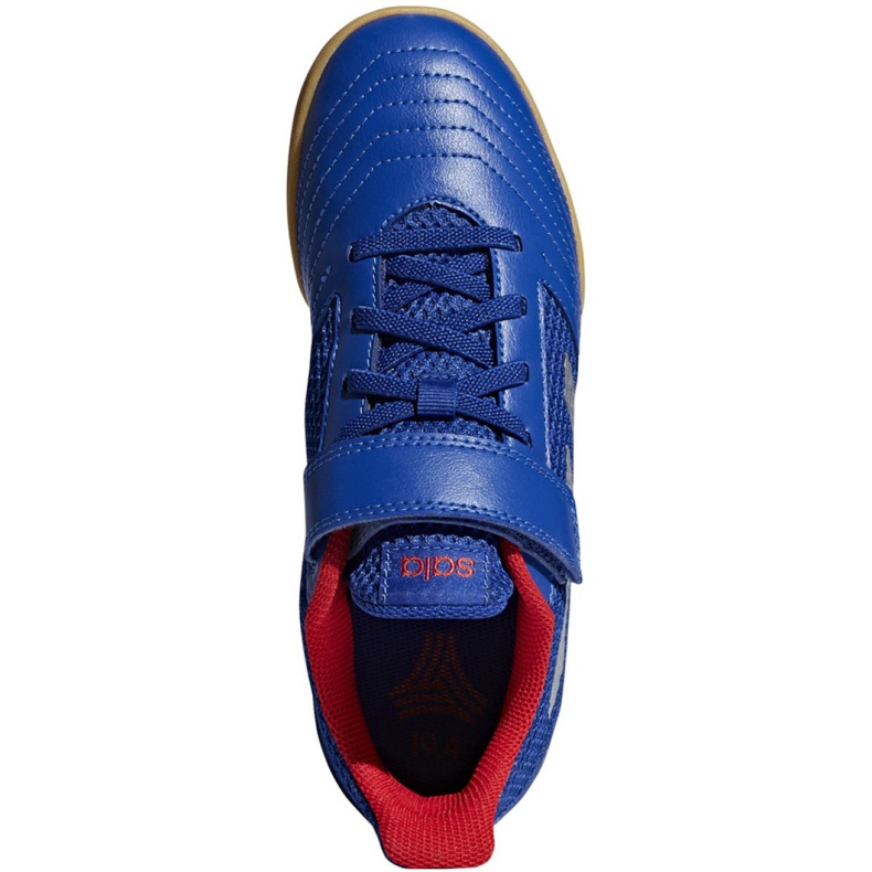 Scarpe indoor adidas Predator 19.4 In Sala Jr CM8550 blu blu 2