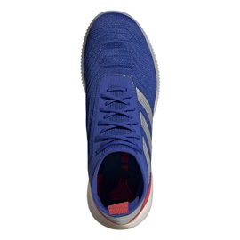 Scarpe indoor adidas Predator 19.1 Tr M BB9081 blu blu 2