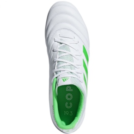 Scarpe da calcio Adidas Copa 19.3 Fg M BB9188 blu bianca 2