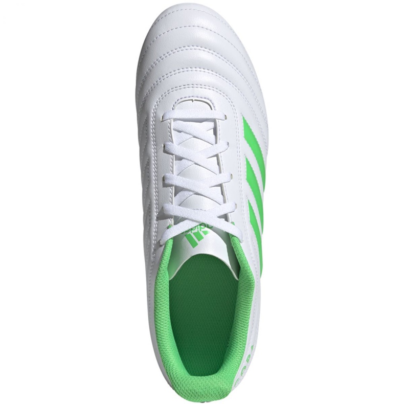 Scarpe da calcio Adidas Copa 19.4 Fg M D98069 multicolore bianca 2