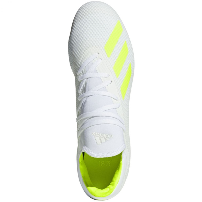 Scarpe da calcio Adidas X 18.3 Fg M BB9368 bianco bianco 1